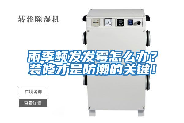 雨季頻發發霉怎么辦？裝修才是防潮的關鍵！