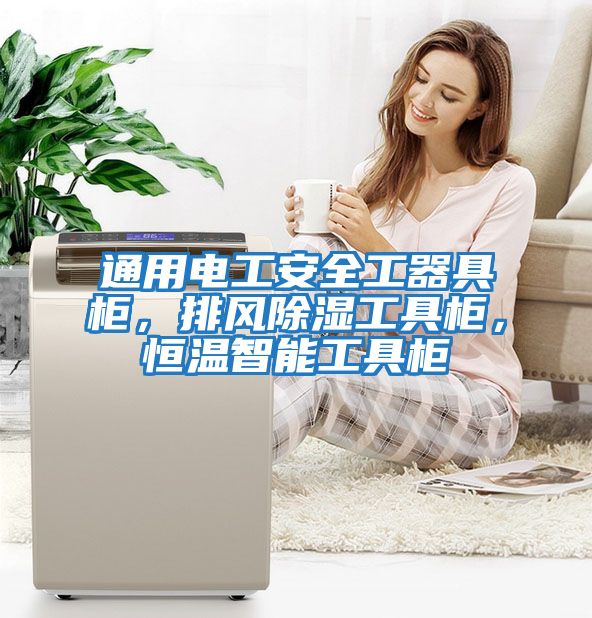 通用電工安全工器具柜，排風(fēng)除濕工具柜，恒溫智能工具柜