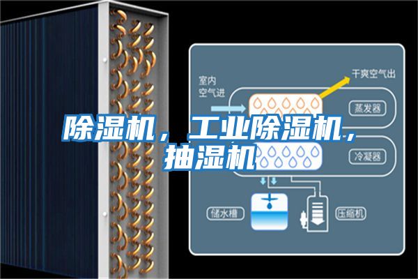 除濕機,工業(yè)除濕機,抽濕機