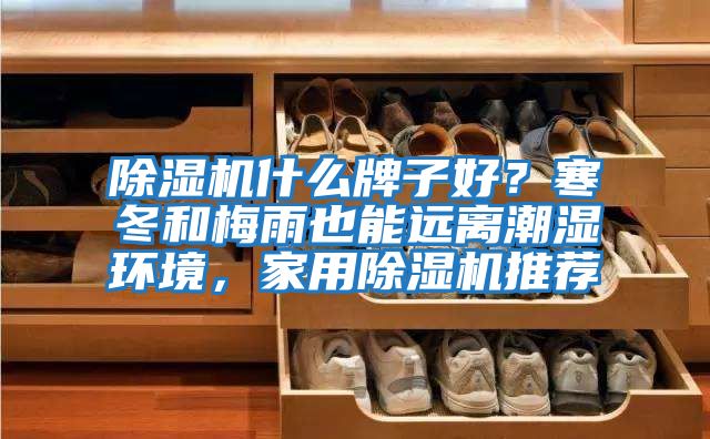 除濕機(jī)什么牌子好?寒冬和梅雨也能遠(yuǎn)離潮濕環(huán)境,家用除濕機(jī)推薦
