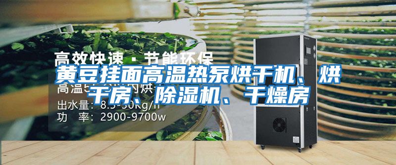 黃豆掛面高溫熱泵烘干機、烘干房、除濕機、干燥房