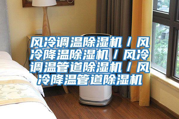 風(fēng)冷調(diào)溫除濕機(jī)/風(fēng)冷降溫除濕機(jī)/風(fēng)冷調(diào)溫管道除濕機(jī)/風(fēng)冷降溫管道除濕機(jī)