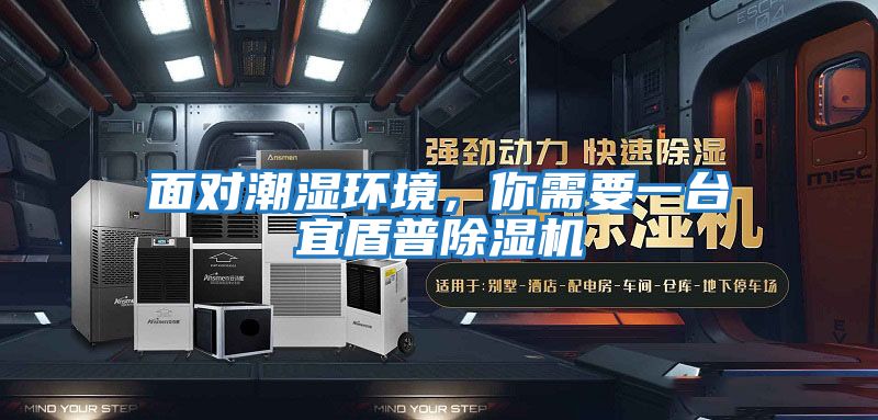 面對(duì)潮濕環(huán)境，你需要一臺(tái)宜盾普除濕機(jī)