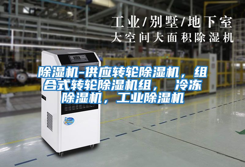 除濕機(jī)-供應(yīng)轉(zhuǎn)輪除濕機(jī)，組合式轉(zhuǎn)輪除濕機(jī)組， 冷凍除濕機(jī)，工業(yè)除濕機(jī)
