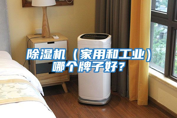 除濕機(家用和工業(yè))哪個牌子好?