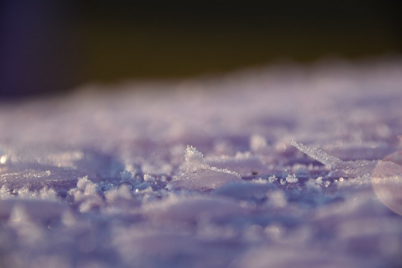 你知道除濕機為什么需要自動化霜嗎？ 冷凍式除濕機化霜功能