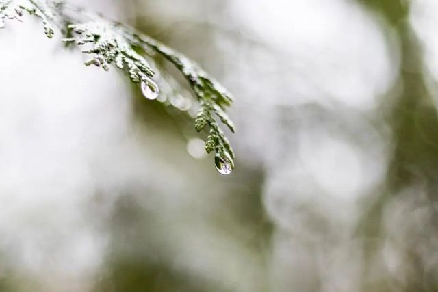 空氣濕度大帶來的危害有哪些，你知道嗎？