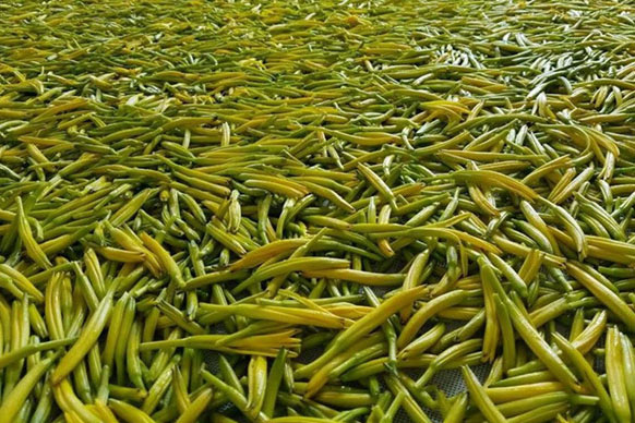 無硫金針菜烘干如何保持品相？不發黑？